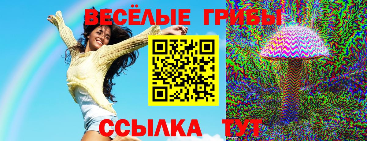 Галлюциногенные грибы Cubensis Сарапул